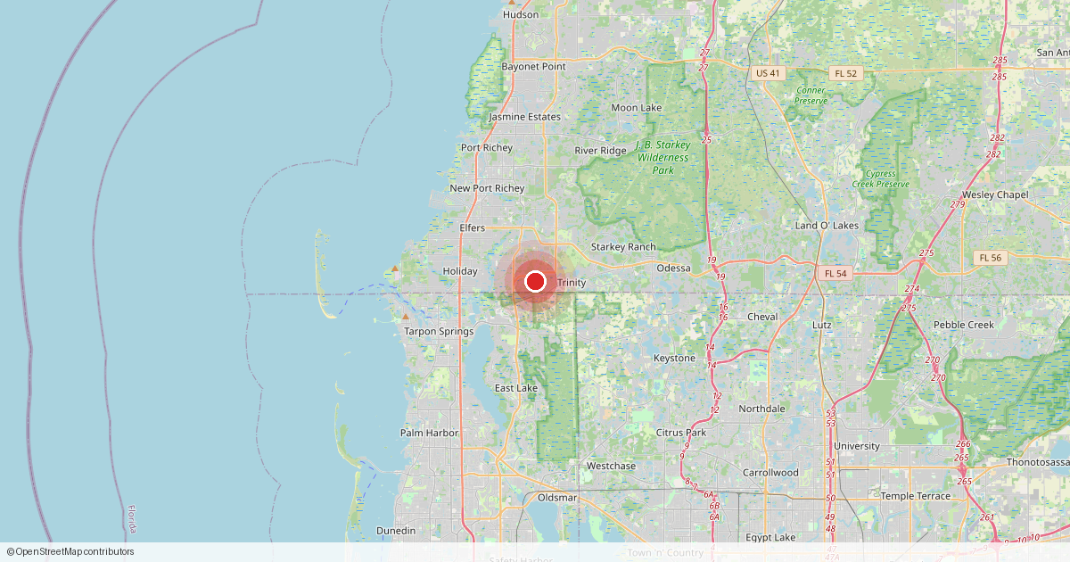 Map of Trinity, Pasco County, Florida.