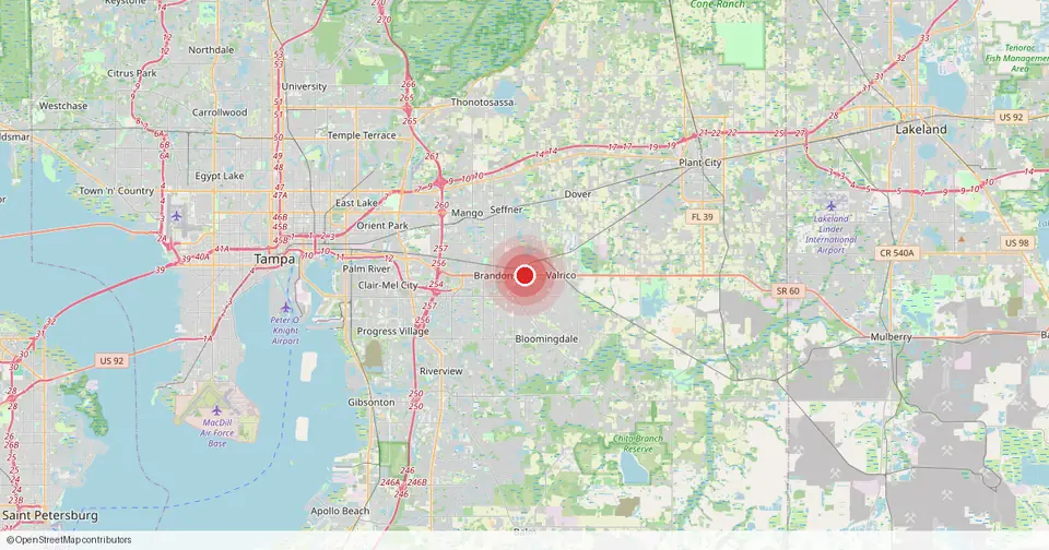 Map of Brandon, Hillsborough County, Florida — in-home physical therapy service area.