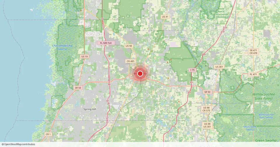 Map of Brooksville, Hernando County, Florida — in-home physical therapy service area.