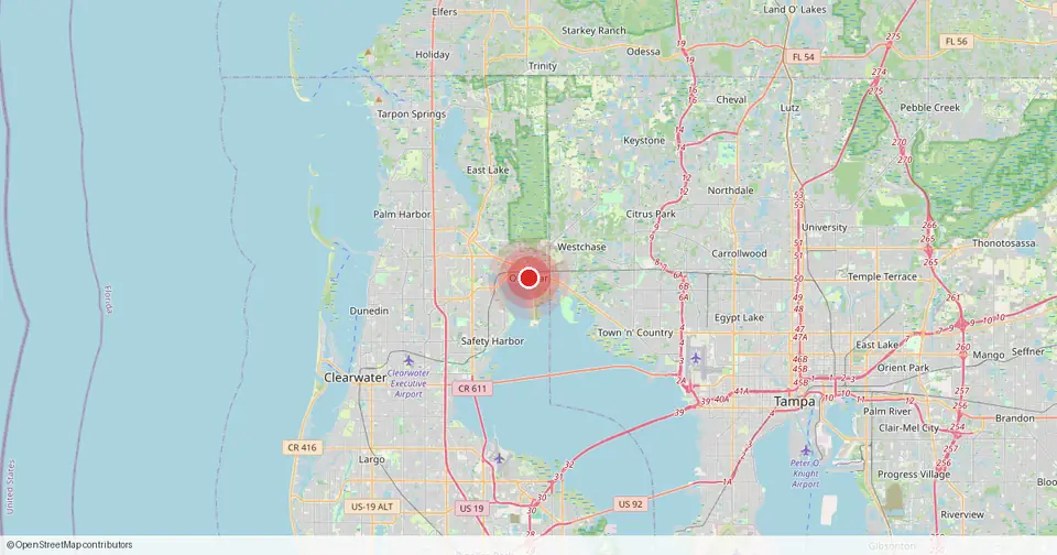 Map of Oldsmar, Pinellas County, Florida — in-home physical therapy service area.