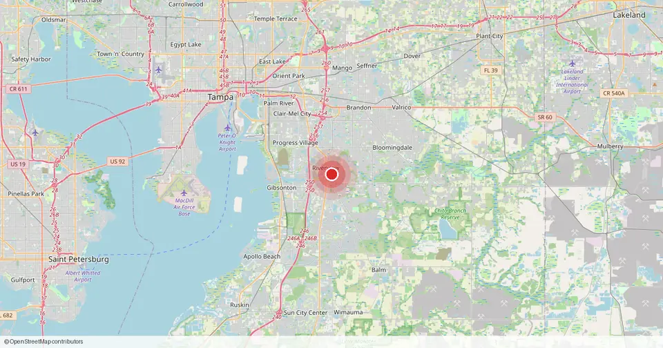 Map of Riverview, Hillsborough County, Florida — in-home physical therapy service area.